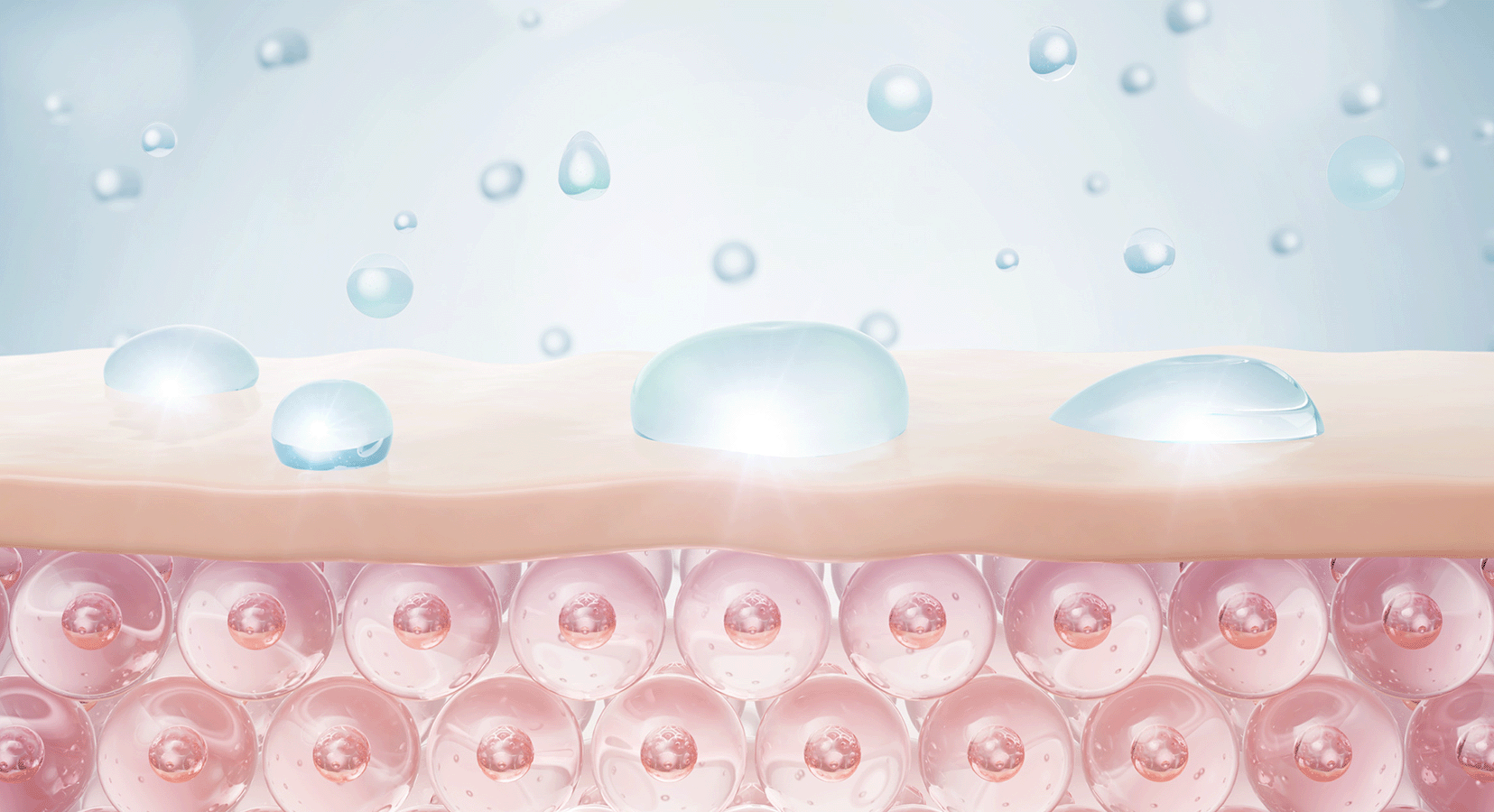 What Is Your Skin Barrier, and Why Should You Protect It? Elysium Health