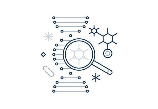 Product Discovery