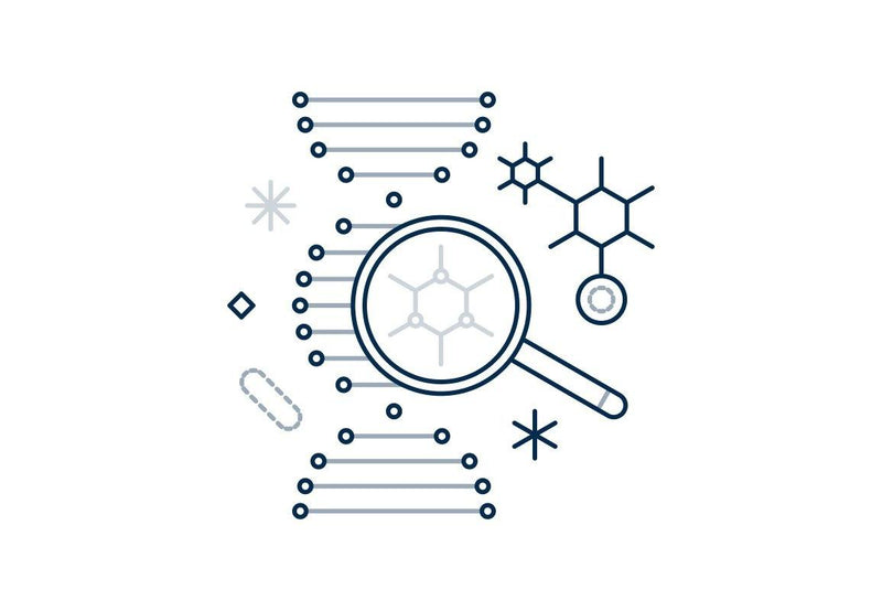 Product Discovery