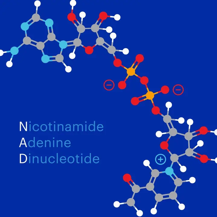 Basis – NAD+ Supplement for Cellular Aging | Elysium Health