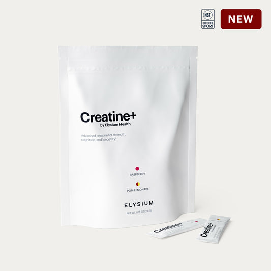 A white stand-up pouch of Elysium Creatine+ powder with two small sachets placed in front, on a light warm-gray background. The pouch shows the brand name ELYSIUM and flavor text including raspberry and pom pom lemonade.