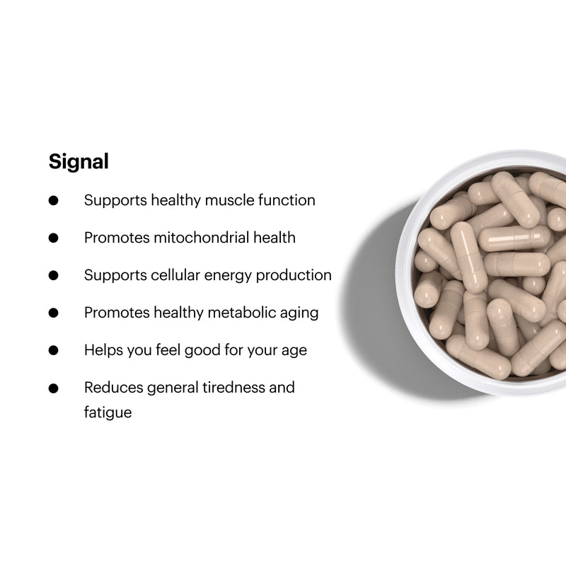 Signal. Supports healthy muscle function; promotes mitochondrial health; supports cellular energy production; promotes healthy metabolic aging; helps you feel good for your age; reduces general tiredness and fatigue