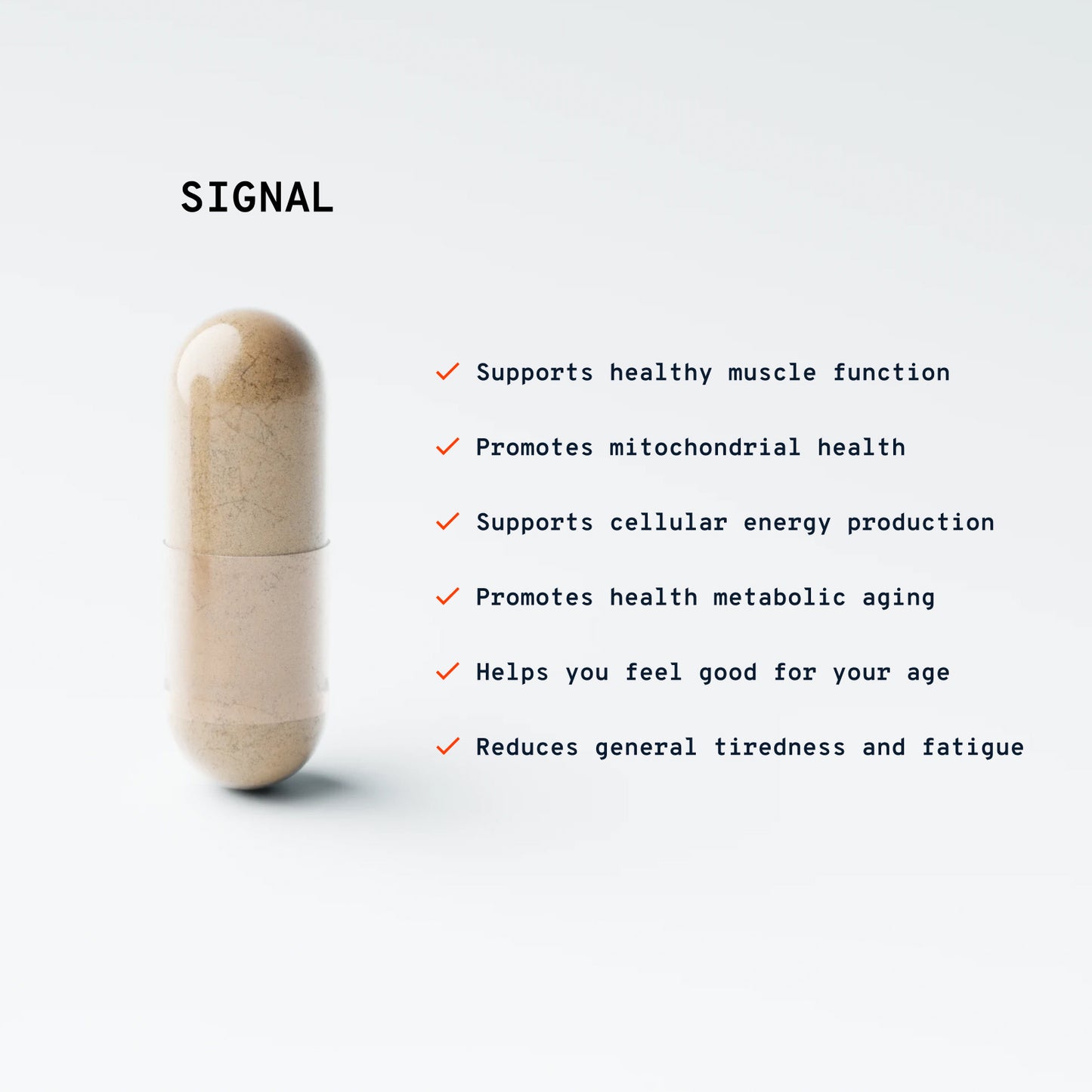 Longevity Starter Pack