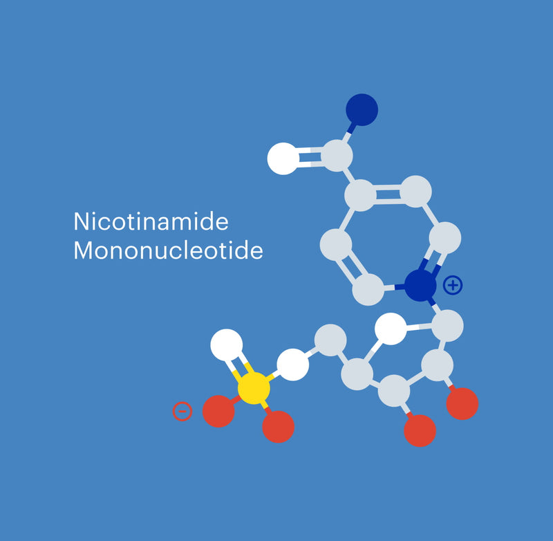Illustration of NMN molecule