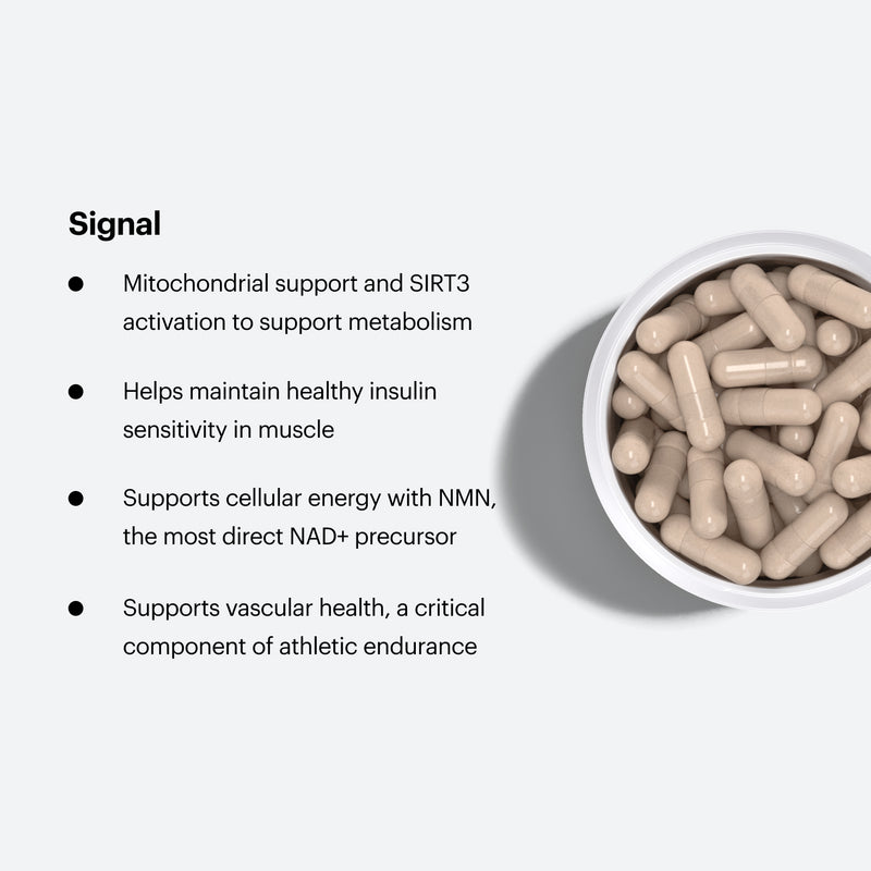 Signal. Mitochondrial support and SIRT3 activation to support metabolism. Helps maintain healthy insulin sensitivity in muscle. Supports cellular energy with NMN, the most direct NAD+ precursor. Supports vascular health, a critical component of athletic endurance